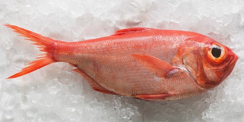 Whole alfonsino fish with vibrant red-orange scales and large eyes, displayed on crushed ice – Sealord NZ deepwater catch.