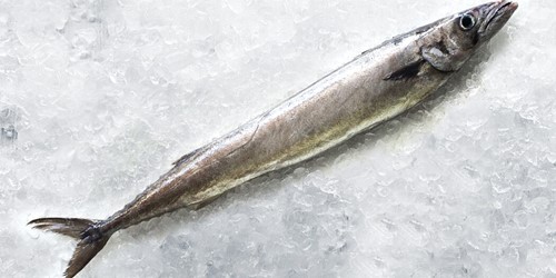 Whole fish lying on a bed of ice