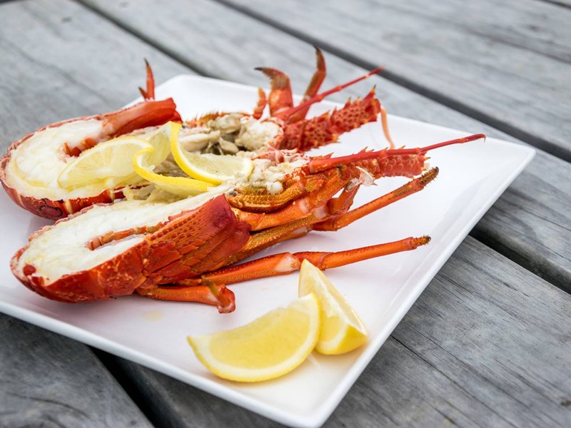 lobster on a white square plate with lemon wedges next to it placed on a wooden picnic table