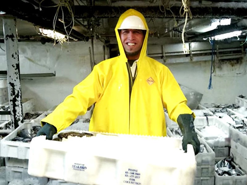 Sealord NZ employee wearing yellow overalls, gloves, and a safety helmet, smiling while holding a container of fish inside a seafood processing factory.