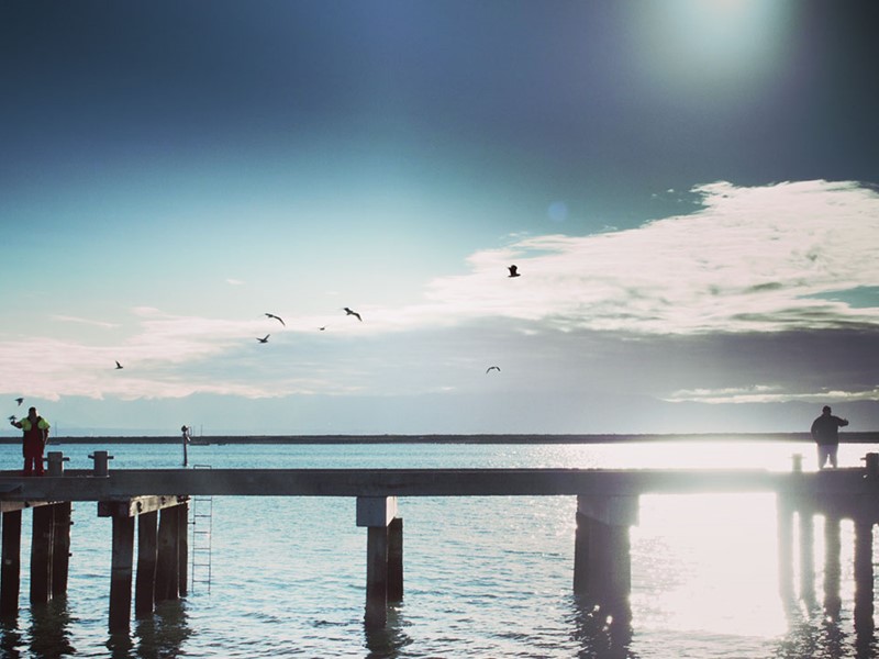 Peaceful waterfront scene with people standing on a pier, seagulls flying overhead, and the sun shining over calm waters.