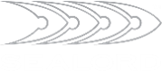 Sealord icon