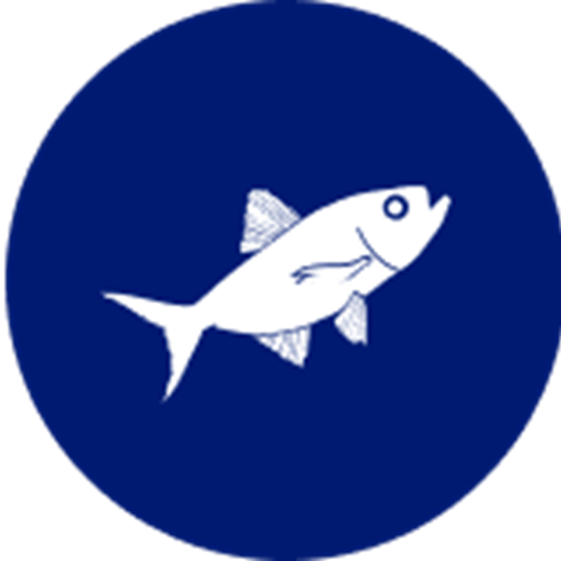Alfonsino species icon – stylised illustration representing Sealord’s sustainably caught Alfonsino.