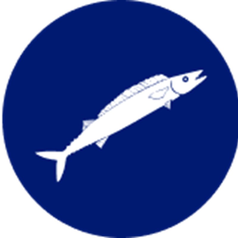 Barracouta icon – illustrated species graphic representing one of Sealord’s sustainably fished species in New Zealand waters.