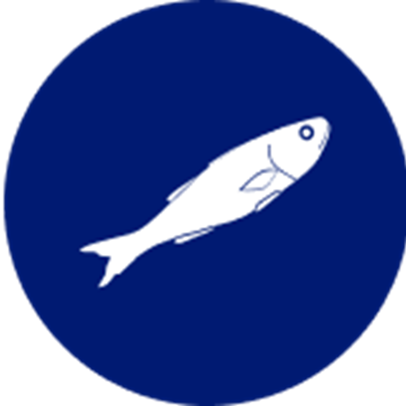 Cardinal fish species icon – stylised illustration representing Sealord’s sustainably sourced Cardinal.