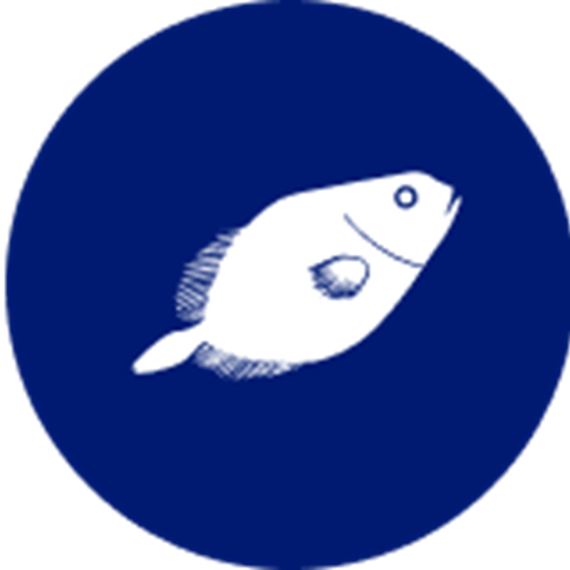 Dory species icon – stylised illustration representing Sealord’s responsibly sourced Dory.