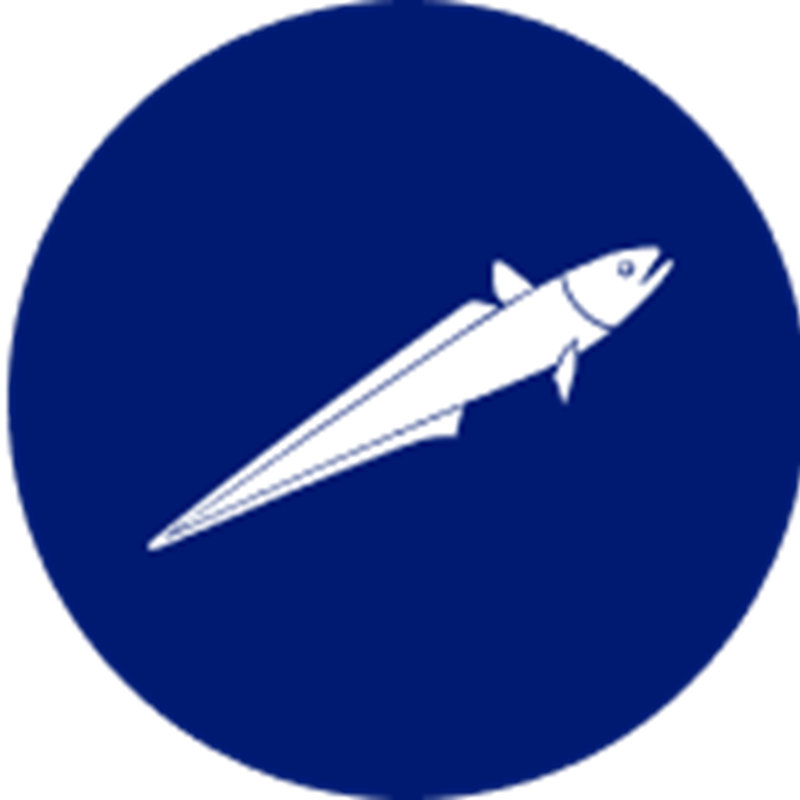 Hoki species icon – stylised illustration representing Sealord’s sustainably caught Hoki.