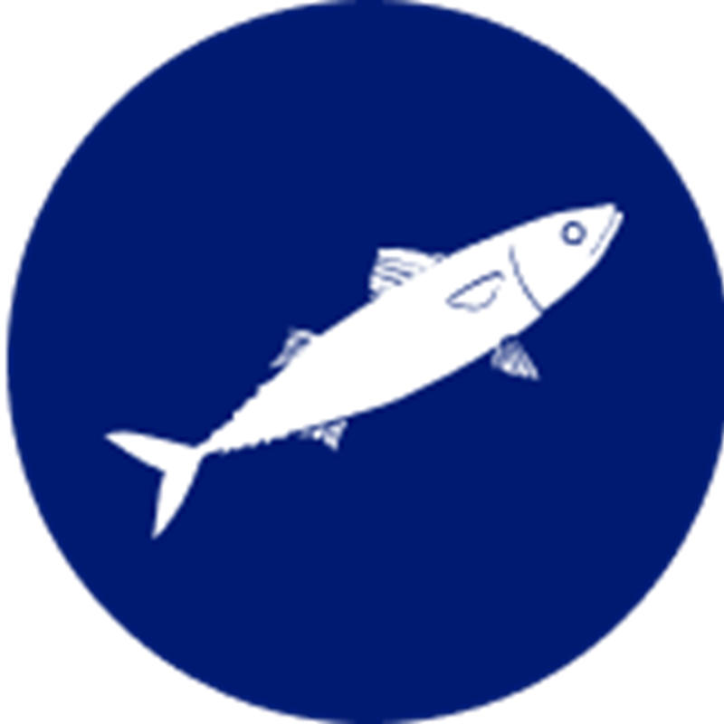 Mackerel species icon – illustrated representation of Sealord’s sustainably sourced Mackerel.
