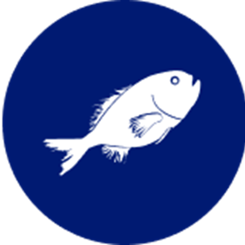 Orange Roughy species icon – stylised illustration representing Sealord’s responsibly sourced Orange Roughy.