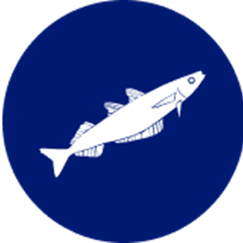 Southern Blue Whiting species icon – illustrated graphic symbolising Sealord’s sustainably caught Southern Blue Whiting.
