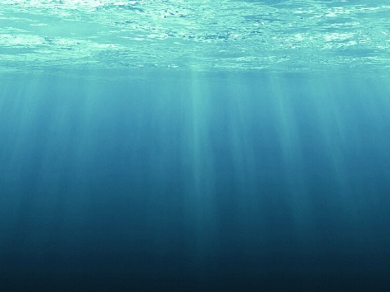 Underwater view with sunlight streaming through the ocean surface, creating soft, blue light rays fading into the deep sea below.