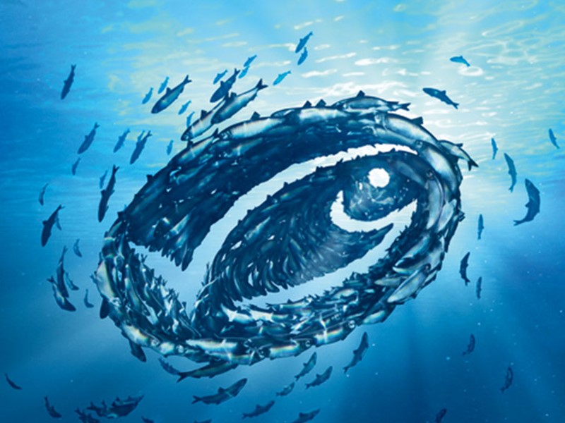 Underwater photo of a school of fish tightly clustered together, forming the shape of a larger fish.
