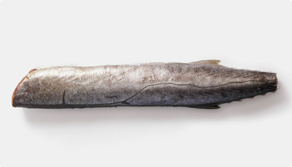 Whole Barracouta Dressed fish with head and guts removed, silver-grey skin intact.