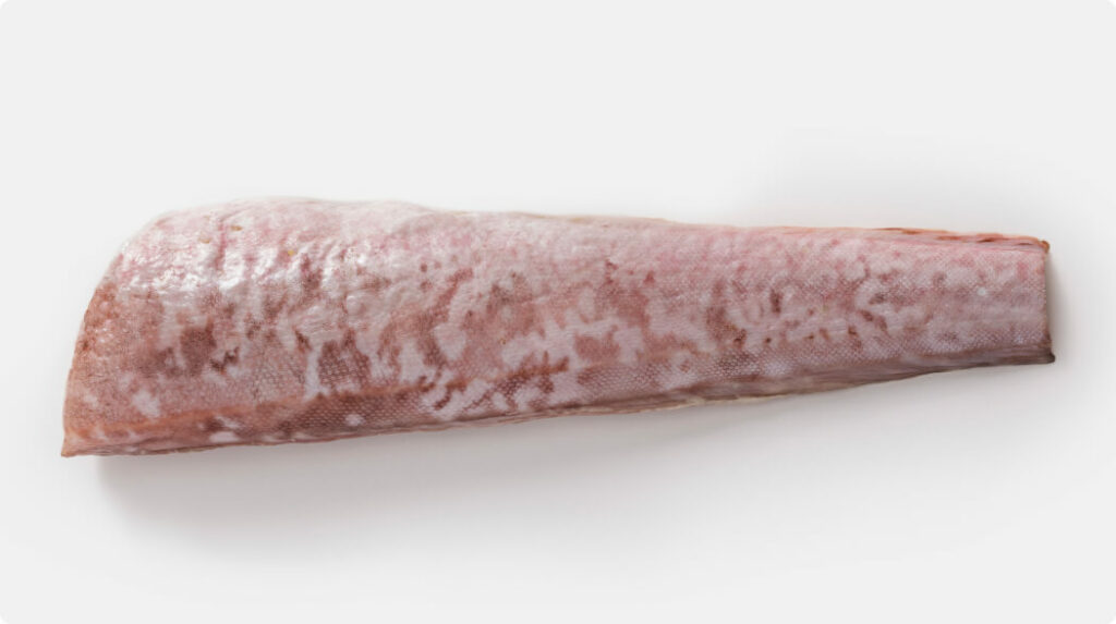 Fresh whole Ling Dressed portion – wild-caught New Zealand fish with skin on, ideal for filleting or sashimi.