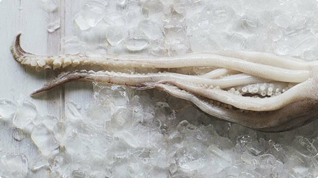 Fresh squid tentacles displayed on crushed ice, showing clean white flesh and visible suction cups.