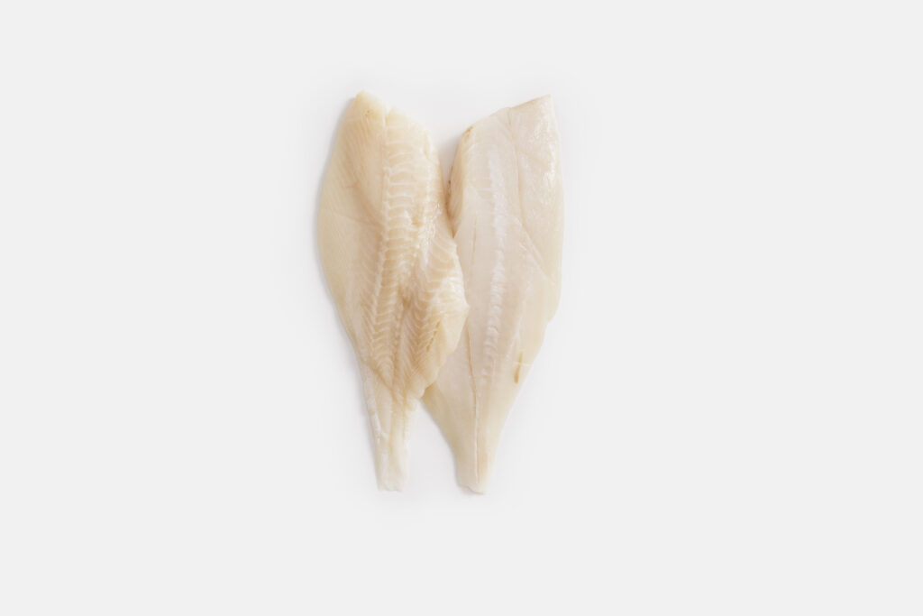 oreo dory fillets on white background, skinned