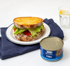Tuna Brotein Sandwich